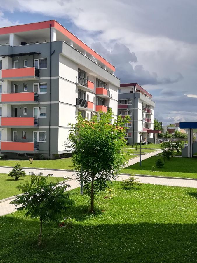 Apartmán Voyage Cubic Adults Only Sibiu Exteriér fotografie