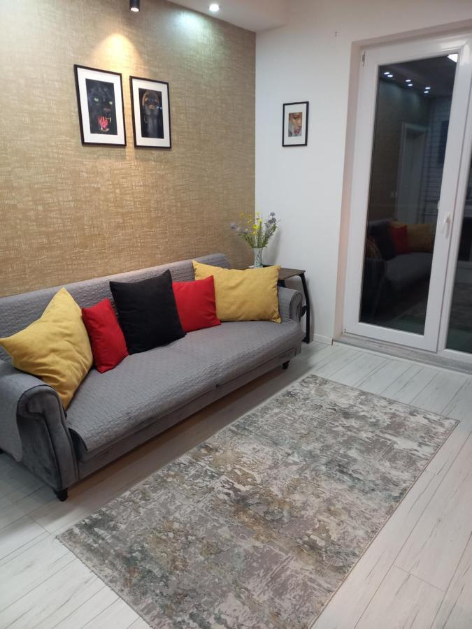 Apartmán Voyage Cubic Adults Only Sibiu Exteriér fotografie